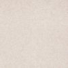 SHAW FLOORS RETAIL: DIVIDING LINE 15' - Image 25