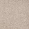 SHAW FLOORS RETAIL: DIVIDING LINE 15' - Image 10
