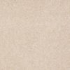 SHAW FLOORS RETAIL: DIVIDING LINE 15' - Image 14