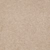 SHAW FLOORS RETAIL: DIVIDING LINE 15' - Image 15
