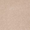 SHAW FLOORS RETAIL: DIVIDING LINE 15' - Image 27