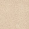 SHAW FLOORS RETAIL: DIVIDING LINE 15' - Image 2