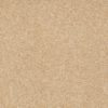 SHAW FLOORS RETAIL: DIVIDING LINE 15' - Image 5