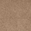 SHAW FLOORS RETAIL: DIVIDING LINE 15' - Image 28