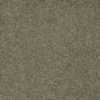 SHAW FLOORS RETAIL: DIVIDING LINE 15' - Image 18
