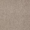 SHAW FLOORS RETAIL: DIVIDING LINE 15' - Image 29
