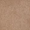 SHAW FLOORS RETAIL: DIVIDING LINE 15' - Image 9