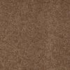SHAW FLOORS RETAIL: DIVIDING LINE 15' - Image 22