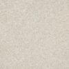 SHAW FLOORS RETAIL: AFTER ALL I - Image 10