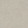 SHAW FLOORS RETAIL: AFTER ALL I - Image 5