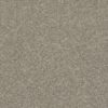 SHAW FLOORS RETAIL: AFTER ALL I - Image 9