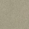 SHAW FLOORS RETAIL: MONTAGE I - Image 13