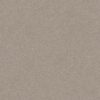 SHAW FLOORS RETAIL: HARMONIOUS II - Image 8