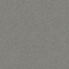 SHAW FLOORS RETAIL: HARMONIOUS II - Image 9