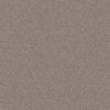 SHAW FLOORS NET: INFLUENCER NET - Image 10