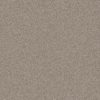 SHAW FLOORS NET: INFLUENCER NET