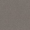 SHAW FLOORS NET: INFLUENCER NET - Image 4