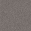 SHAW FLOORS NET: INFLUENCER NET - Image 9
