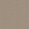SHAW FLOORS NET: INFLUENCER NET - Image 6