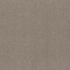 SHAW FLOORS RETAIL: HARD AT PLAY II 12' - Image 6