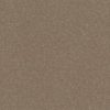 SHAW FLOORS RETAIL: HARD AT PLAY II 12' - Image 13