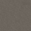 SHAW FLOORS RETAIL: HARD AT PLAY II 12' - Image 17