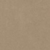 SHAW FLOORS RETAIL: HARD AT PLAY II 12' - Image 18