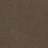 SHAW FLOORS RETAIL: HARD AT PLAY II 12' - Image 21
