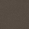 SHAW FLOORS RETAIL: HARD AT PLAY II 12' - Image 22
