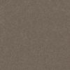 SHAW FLOORS RETAIL: HARD AT PLAY II 12' - Image 23