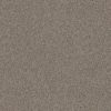 SHAW FLOORS NET: TRUSPIRIT I NET
