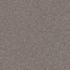 SHAW FLOORS NET: TRUSPIRIT I NET - Image 10