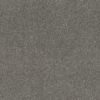 SHAW FLOORS NET: TRUSPIRIT I NET - Image 12