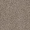 SHAW FLOORS NET: TRUSPIRIT I NET - Image 9
