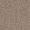 SHAW FLOORS NET: TRUSPIRIT I NET - Image 4