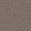 SHAW FLOORS NET: TRUSPIRIT II NET - Image 12