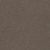 SHAW FLOORS NET: TRUSPIRIT II NET - Image 9