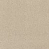 SHAW FLOORS RETAIL: CASHMERE IV - Image 7