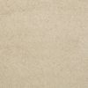 SHAW FLOORS RETAIL: CASHMERE IV - Image 4