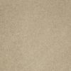 SHAW FLOORS RETAIL: CASHMERE IV - Image 8