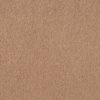 SHAW FLOORS RETAIL: CASHMERE IV - Image 5