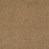 SHAW FLOORS RETAIL: CASHMERE IV - Image 11