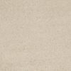 SHAW FLOORS RETAIL: CASHMERE CLASSIC I
