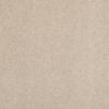 SHAW FLOORS RETAIL: CASHMERE CLASSIC I - Image 44