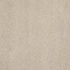SHAW FLOORS RETAIL: CASHMERE CLASSIC I - Image 30
