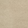 SHAW FLOORS RETAIL: CASHMERE CLASSIC I - Image 5