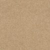SHAW FLOORS RETAIL: CASHMERE CLASSIC I - Image 45