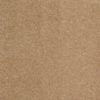 SHAW FLOORS RETAIL: CASHMERE CLASSIC I - Image 31