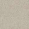 SHAW FLOORS RETAIL: CASHMERE CLASSIC I - Image 32