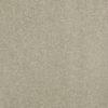 SHAW FLOORS RETAIL: CASHMERE CLASSIC I - Image 35